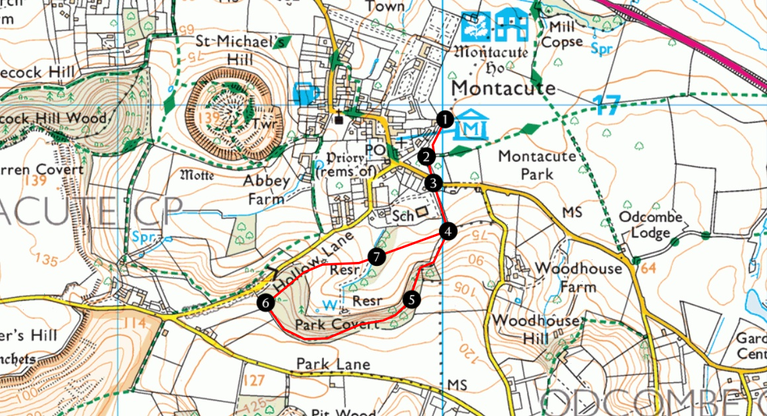 Ladies' Walk Montacute House map